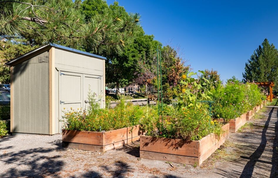 Apartment Gardens
