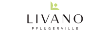 Modern logo for Livano Pflugerville featuring sleek typography and a minimalist design element.
