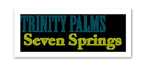 Logo of Trinity Palms Seven Springs with a modern and vibrant design.