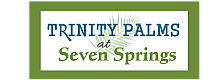 Elegant logo for Trinity Palms at Seven Springs with a palm leaf design.