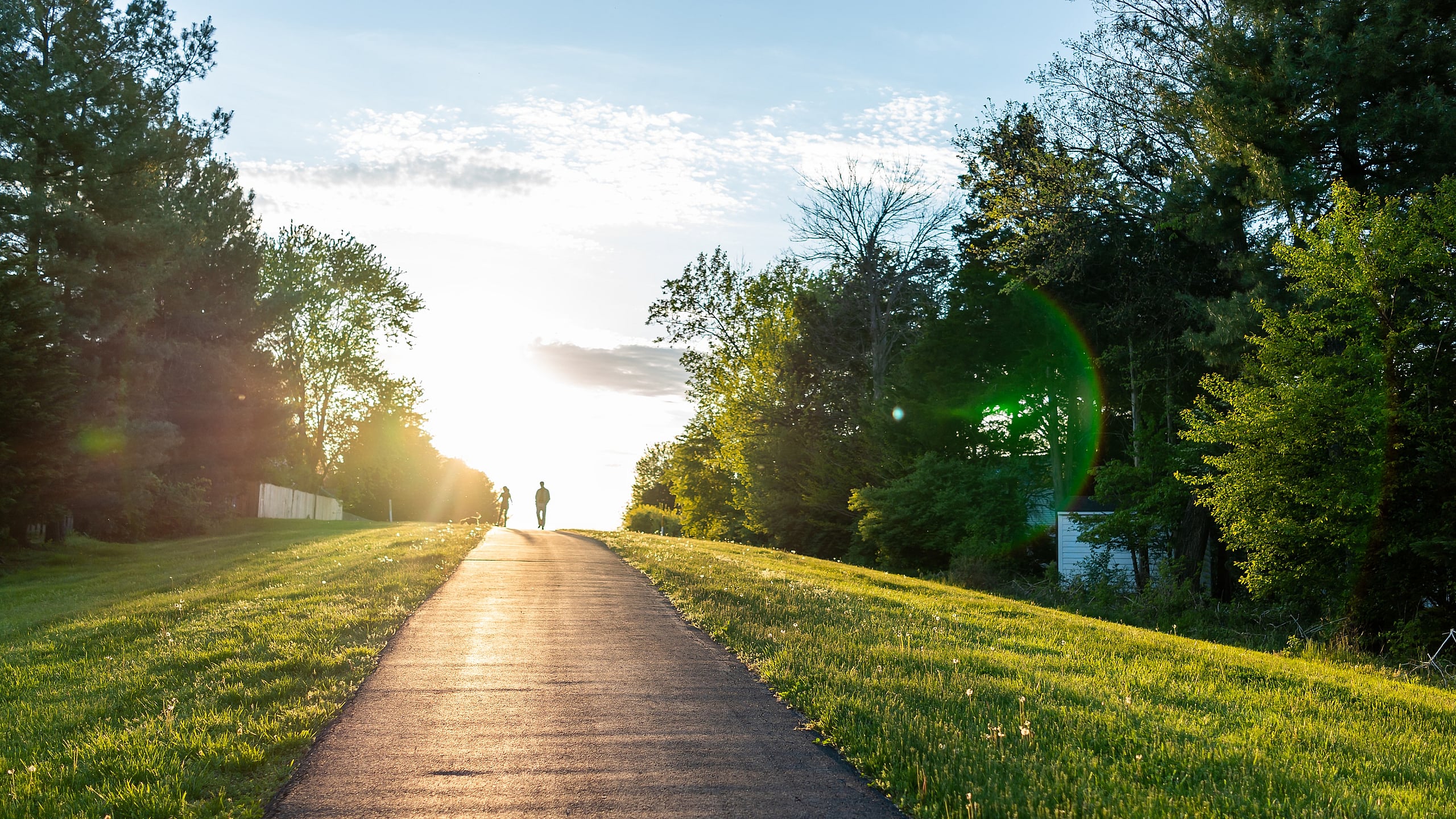 Scenic sunset view with a paved path lined by vibrant green trees and grass, perfect for outdoor walks.