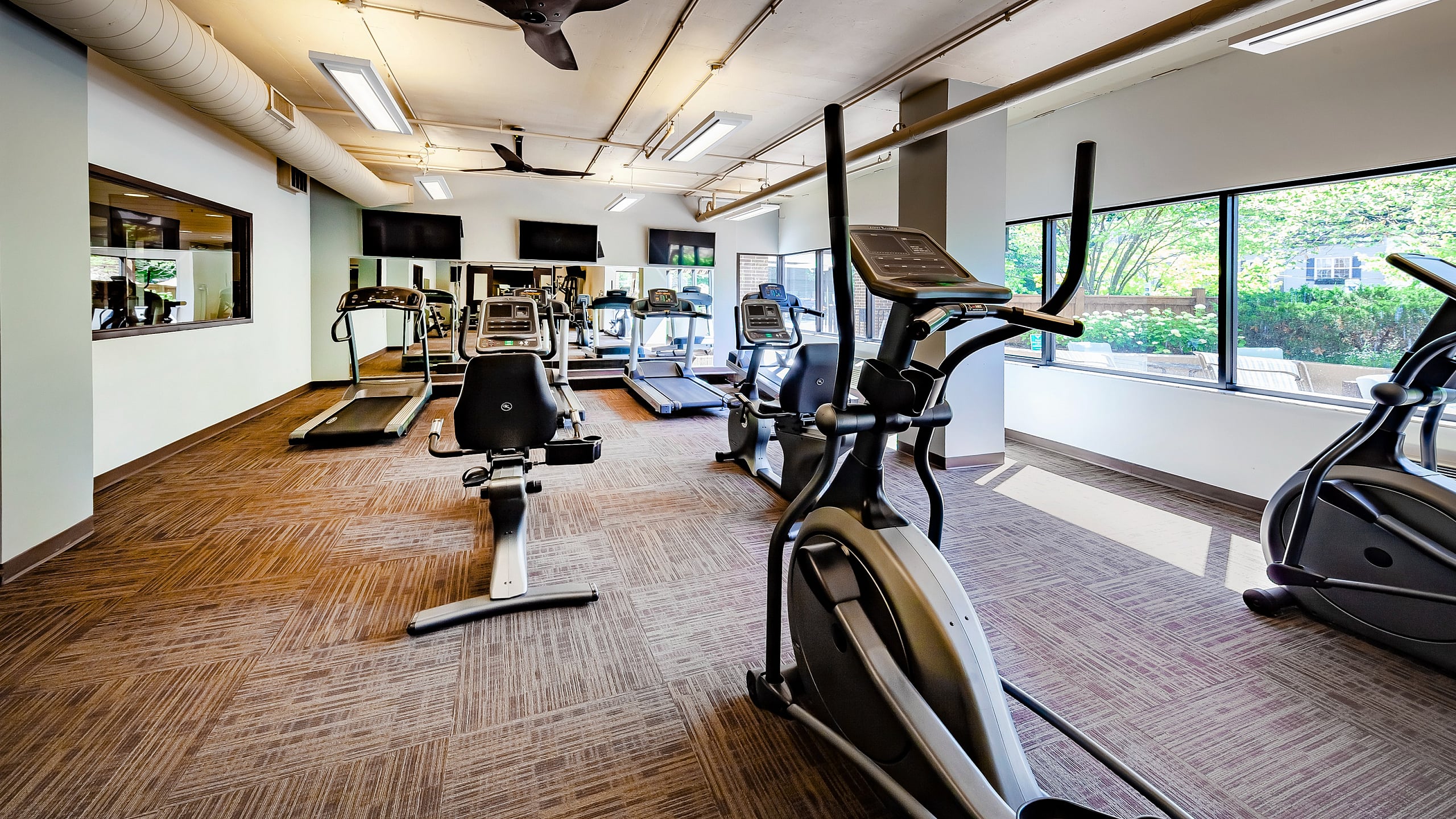 Bright and airy fitness center with modern exercise equipment and large windows offering scenic outdoor views.