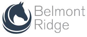 Elegant Belmont Ridge logo featuring a stylized horse head with flowing curves, conveying a sense of luxury and sophistication.