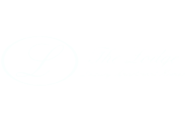 White Transparent Logo