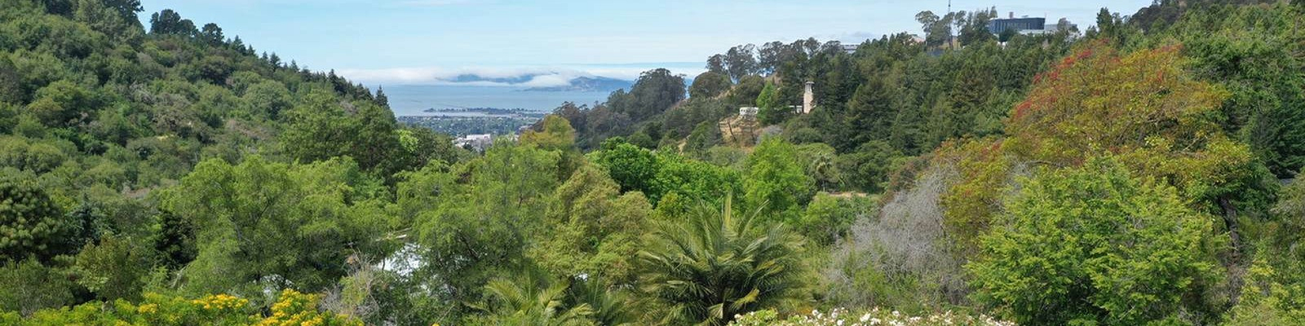 Breathtaking view of lush green hills and distant ocean, perfect for tranquil living in nature.