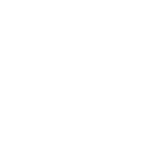 Customer Service Icon