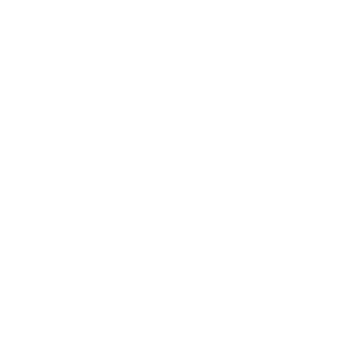 Technology Icon