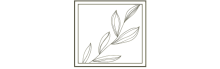 Elegant botanical line art illustration featuring a series of delicate leaves, perfect for modern decor.