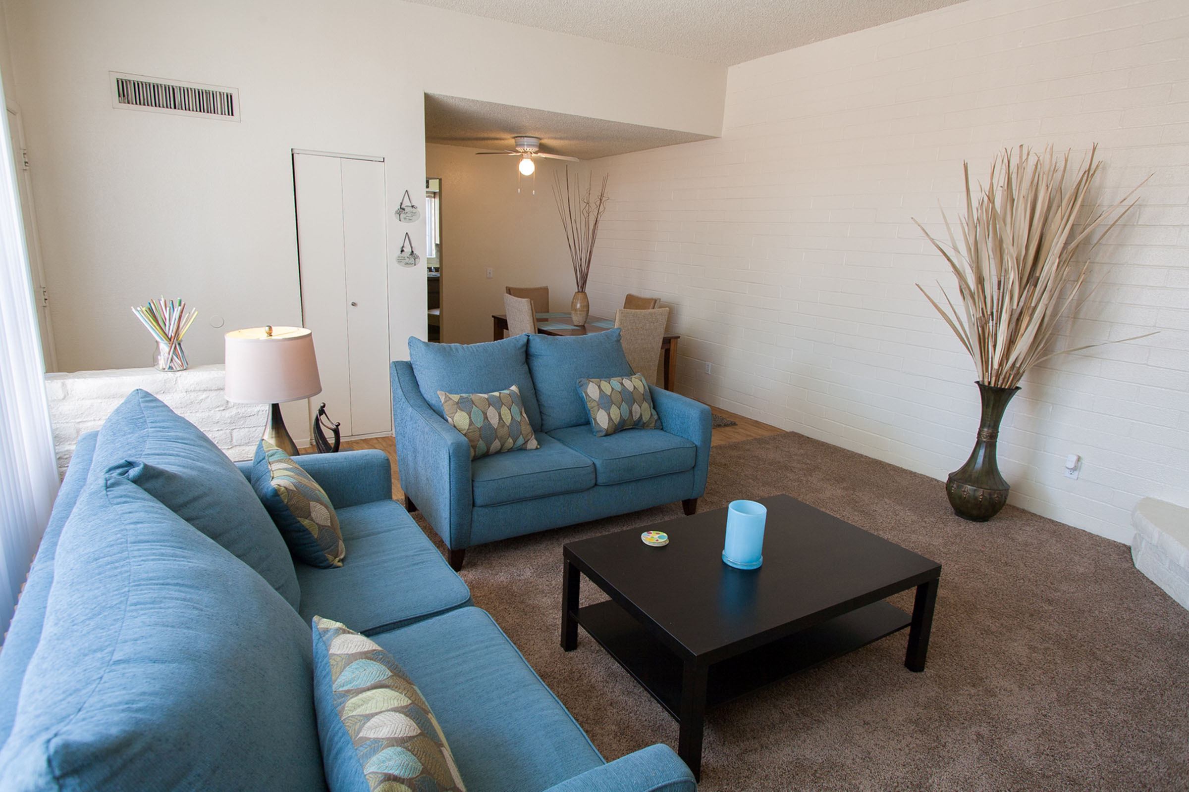 Apartment Features