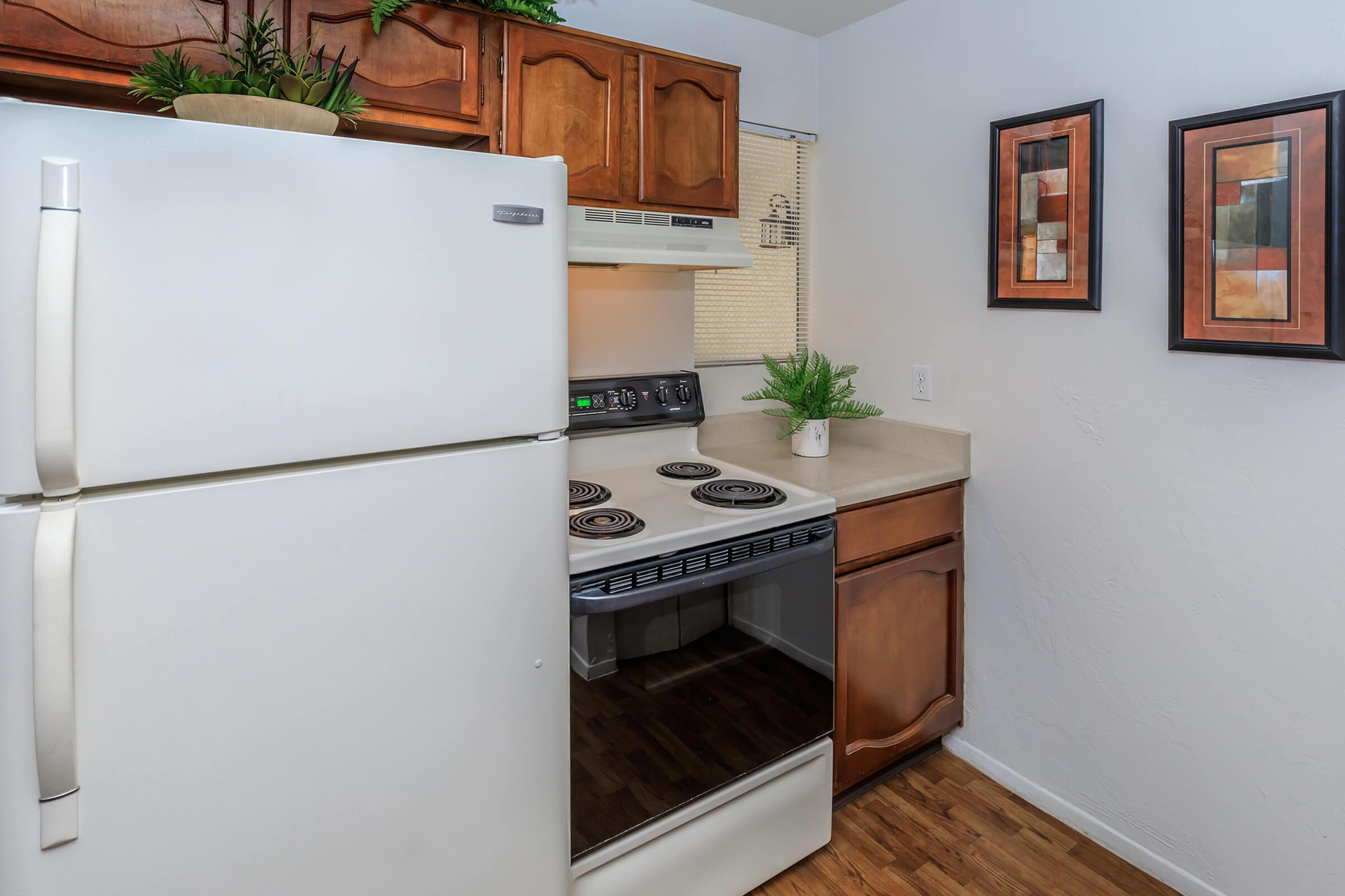 Apartment Amenities