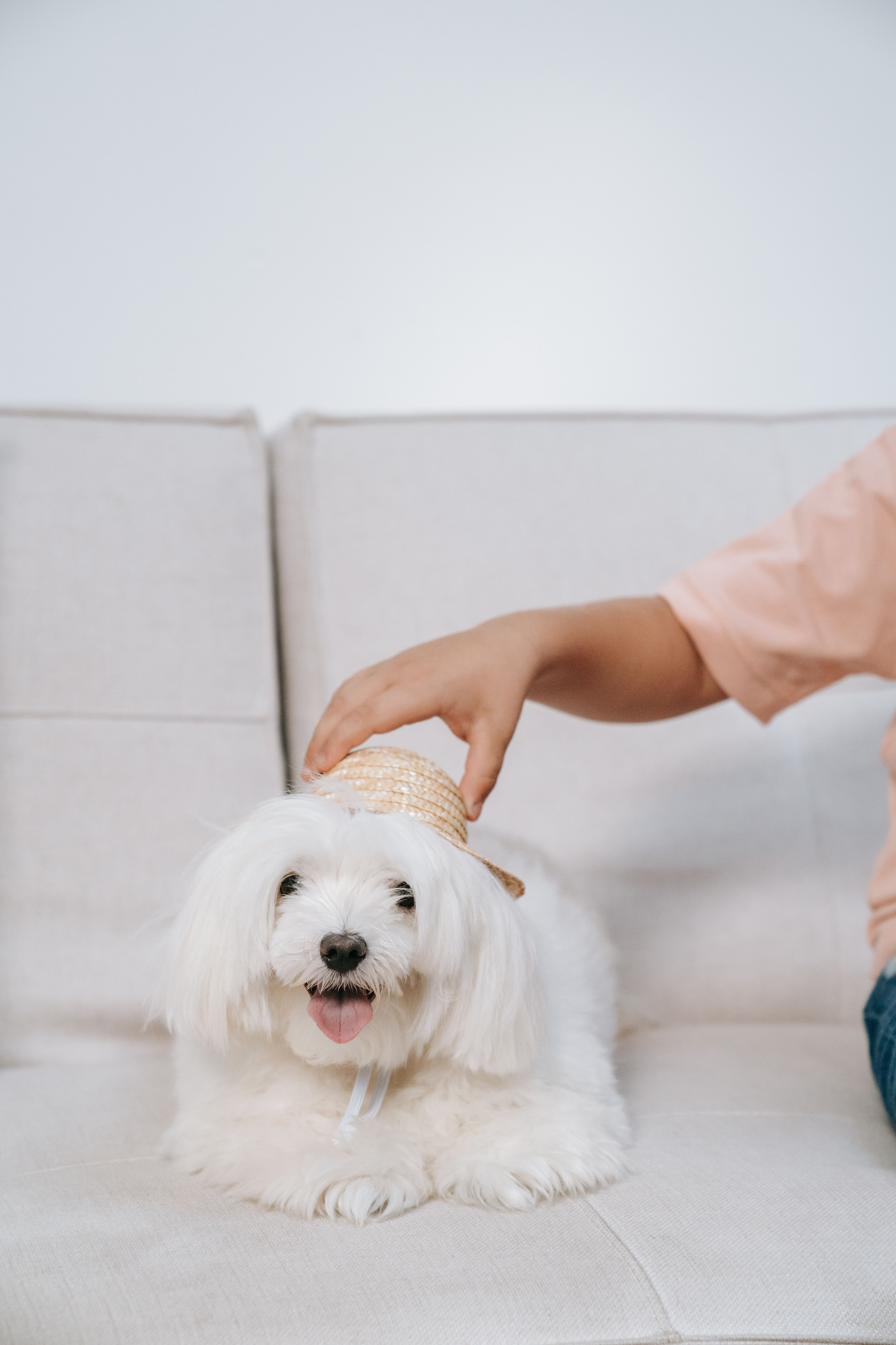 Pet Friendly Community