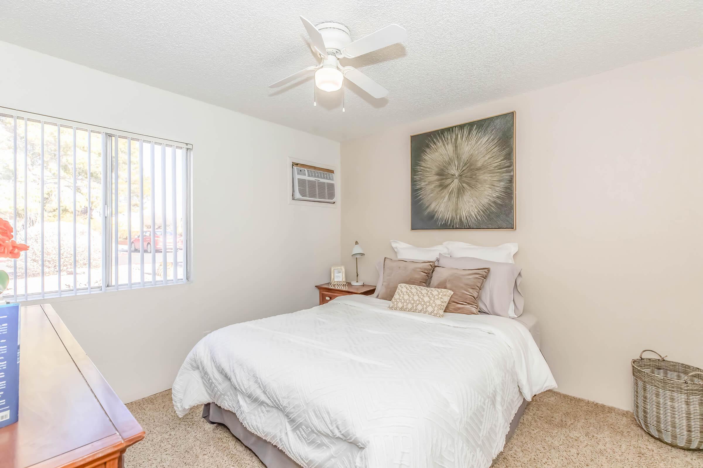 Apartment Features