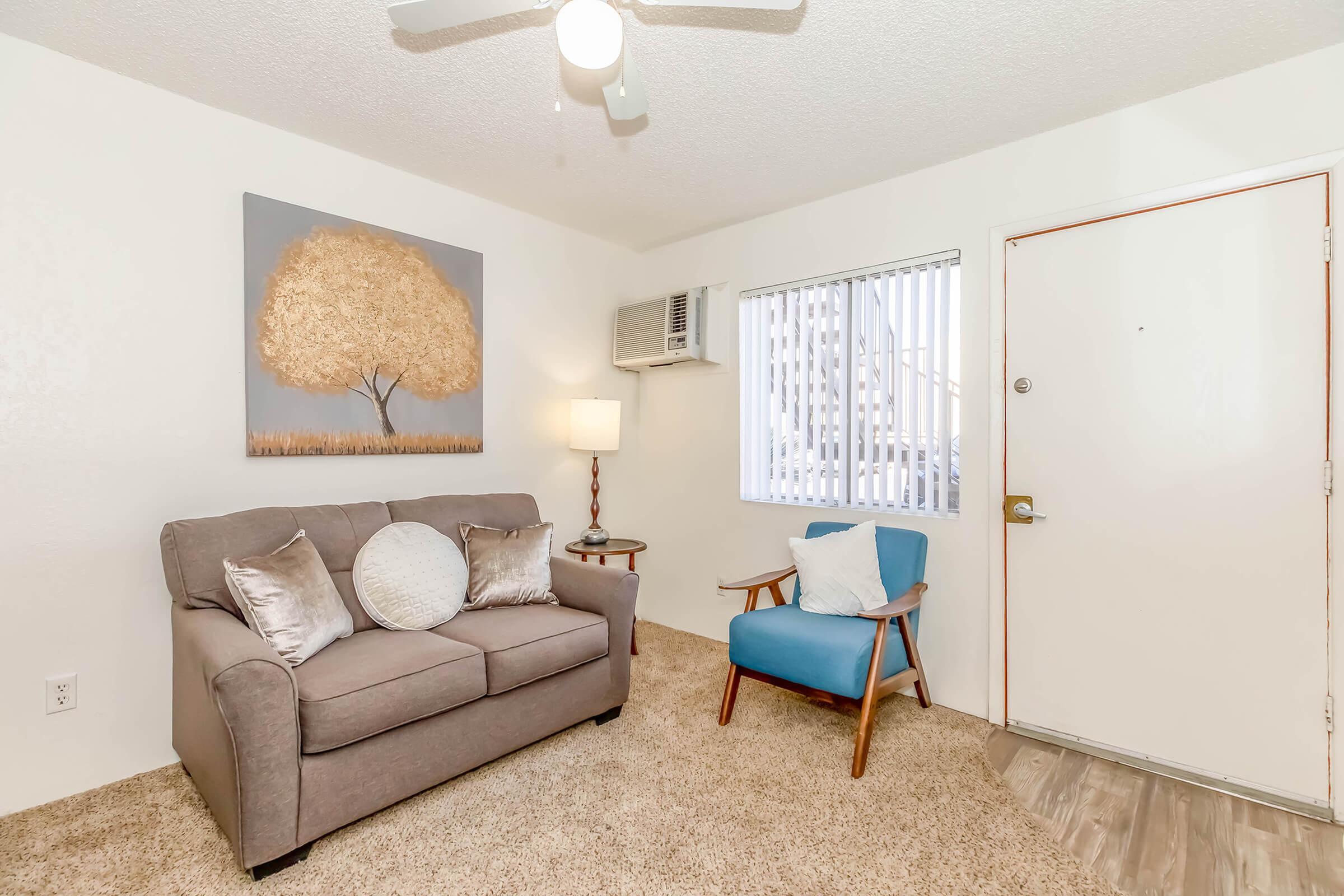 Apartment Features