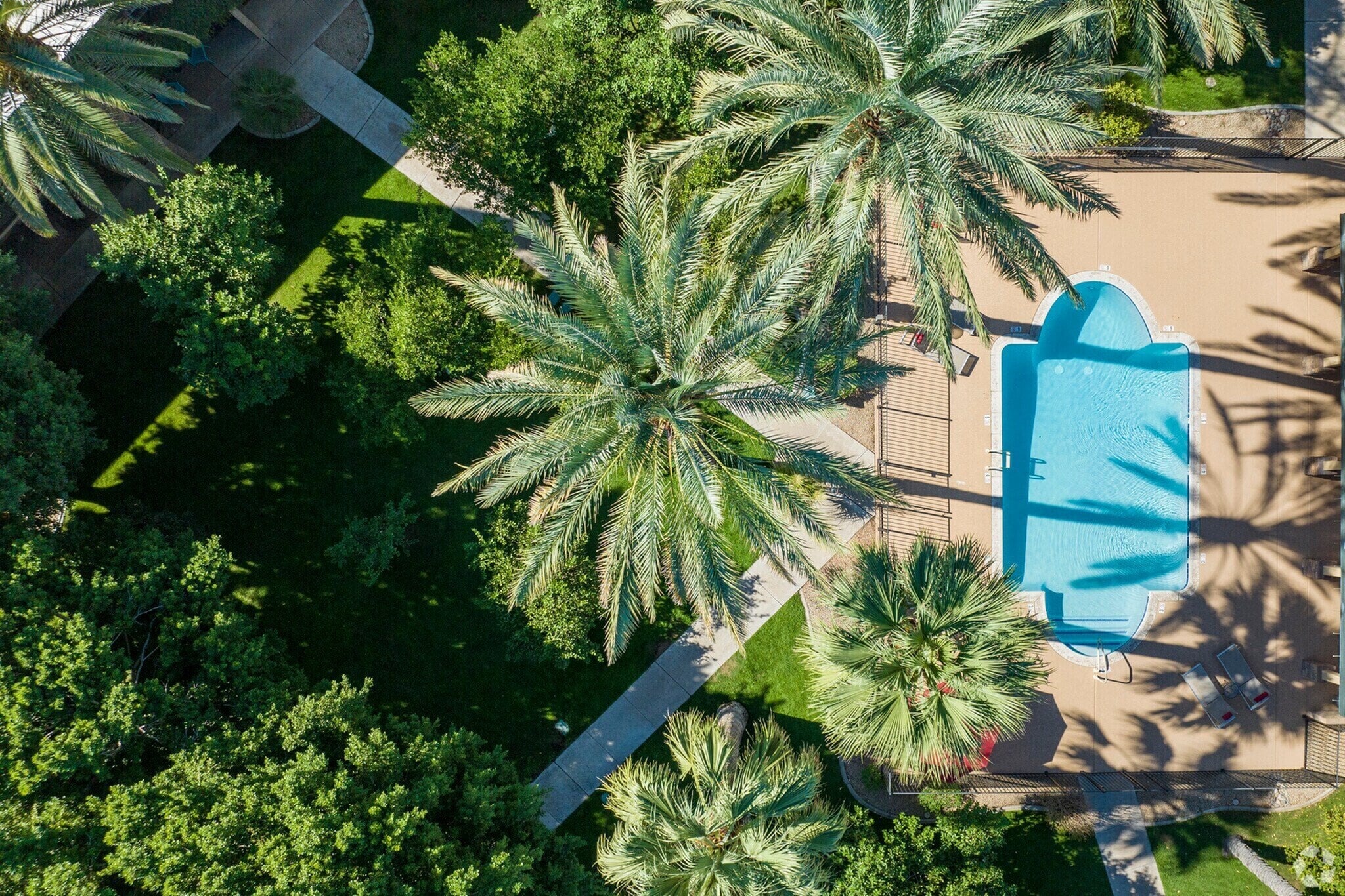 Oasis in the City