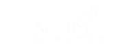 Elegant NorthStar Management & Consulting, Inc. logo featuring a compass design, symbolizing guidance and expertise.