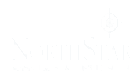 northstar logo white