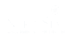 northstar white logo