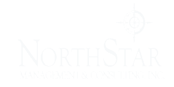 northstar white logo