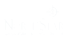 northstar white logo