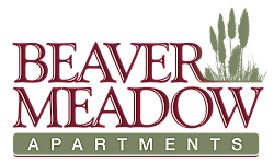 Elegant logo design for Beaver Meadow Apartments with rich maroon typography and a nature-inspired cattail motif.