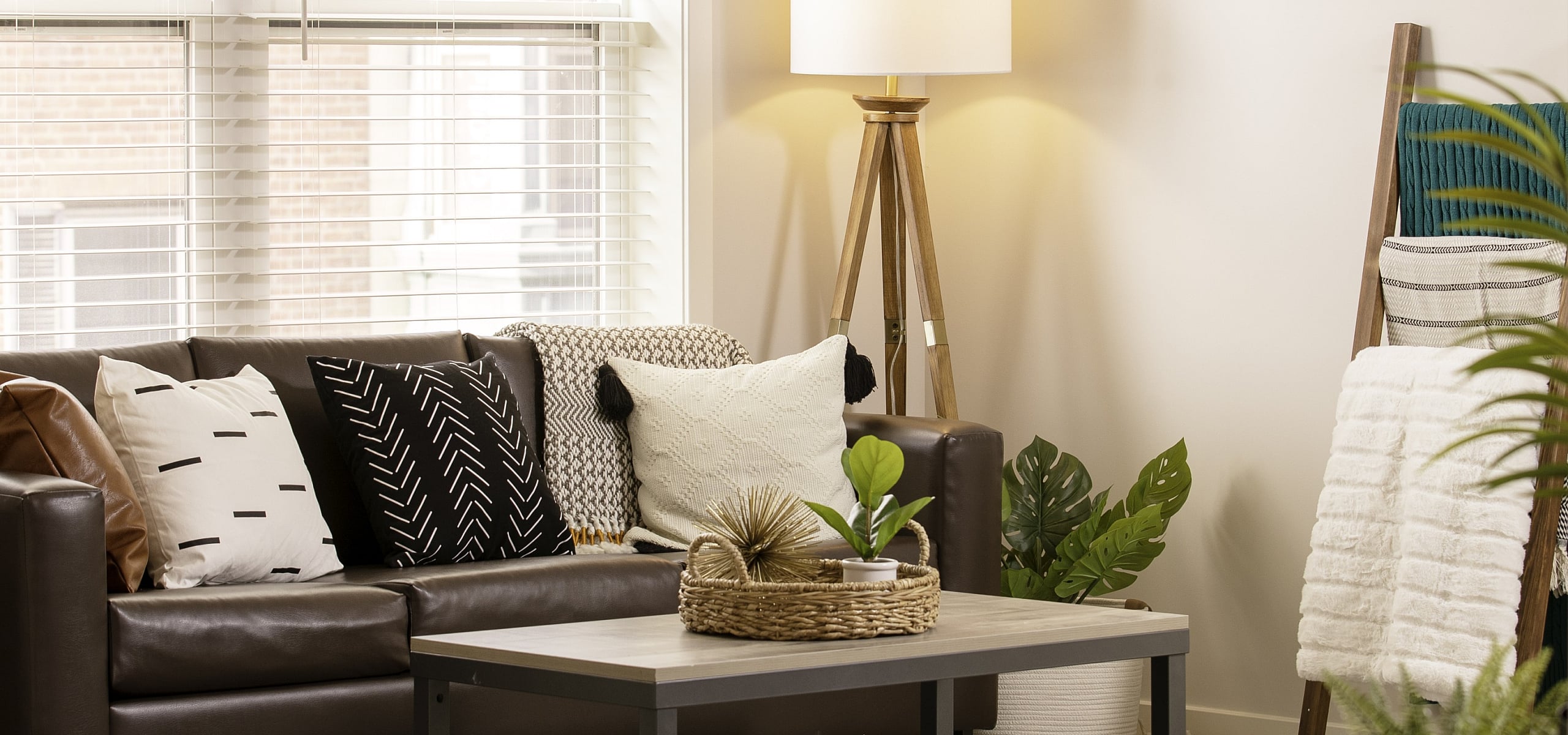 Bright and cozy living room with a stylish leather sofa, modern coffee table, elegant floor lamp, and inviting decor accents.