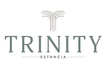 Elegant logo for Trinity Estancia featuring a modern, stylized tree design.