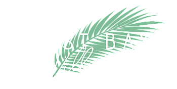 Elegant logo design featuring a green palm leaf with the letters 'ST BA', conveying a tropical and sophisticated vibe.