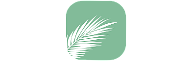 Minimalist design logo with a white palm leaf overlay on a soothing green background.