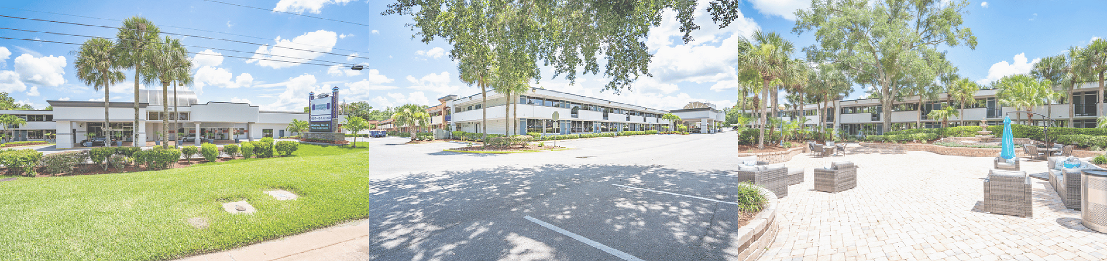 Modern commercial building with lush landscaping, large windows, and palm trees under a bright blue sky.