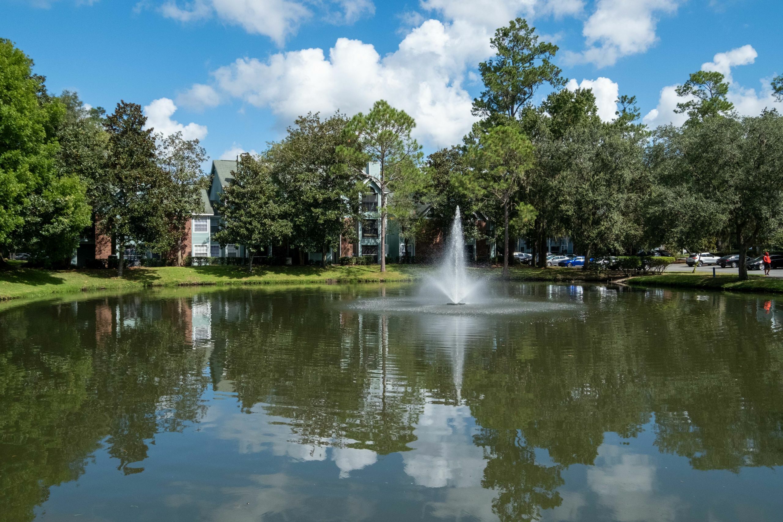 Lake at The Polos