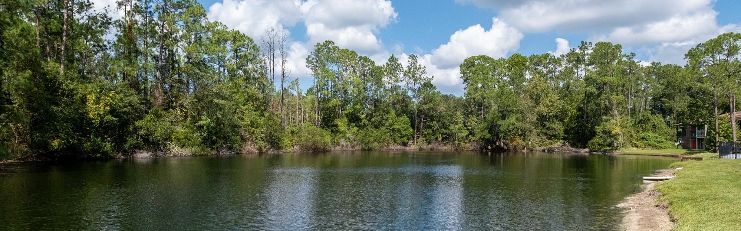 Serene lakeside view with lush greenery and clear blue skies, perfect for a peaceful retreat or nature enthusiasts.