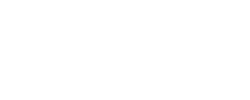 Elegant 'Museum Walk' logo with stylish italicized font and artistic shadow effect.