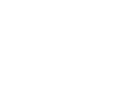 logo + apts
