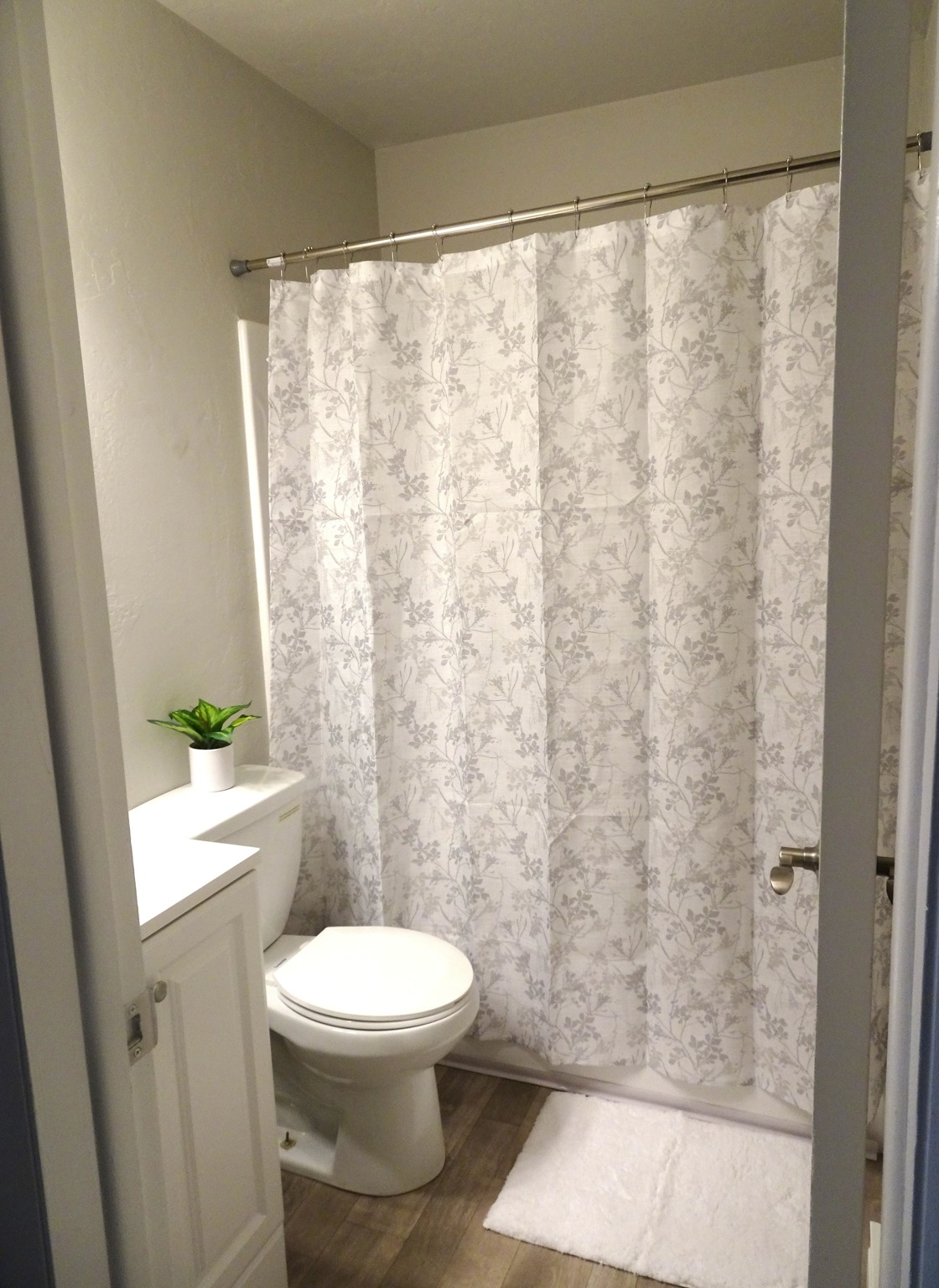 View Photos Ivy Apartment Homes