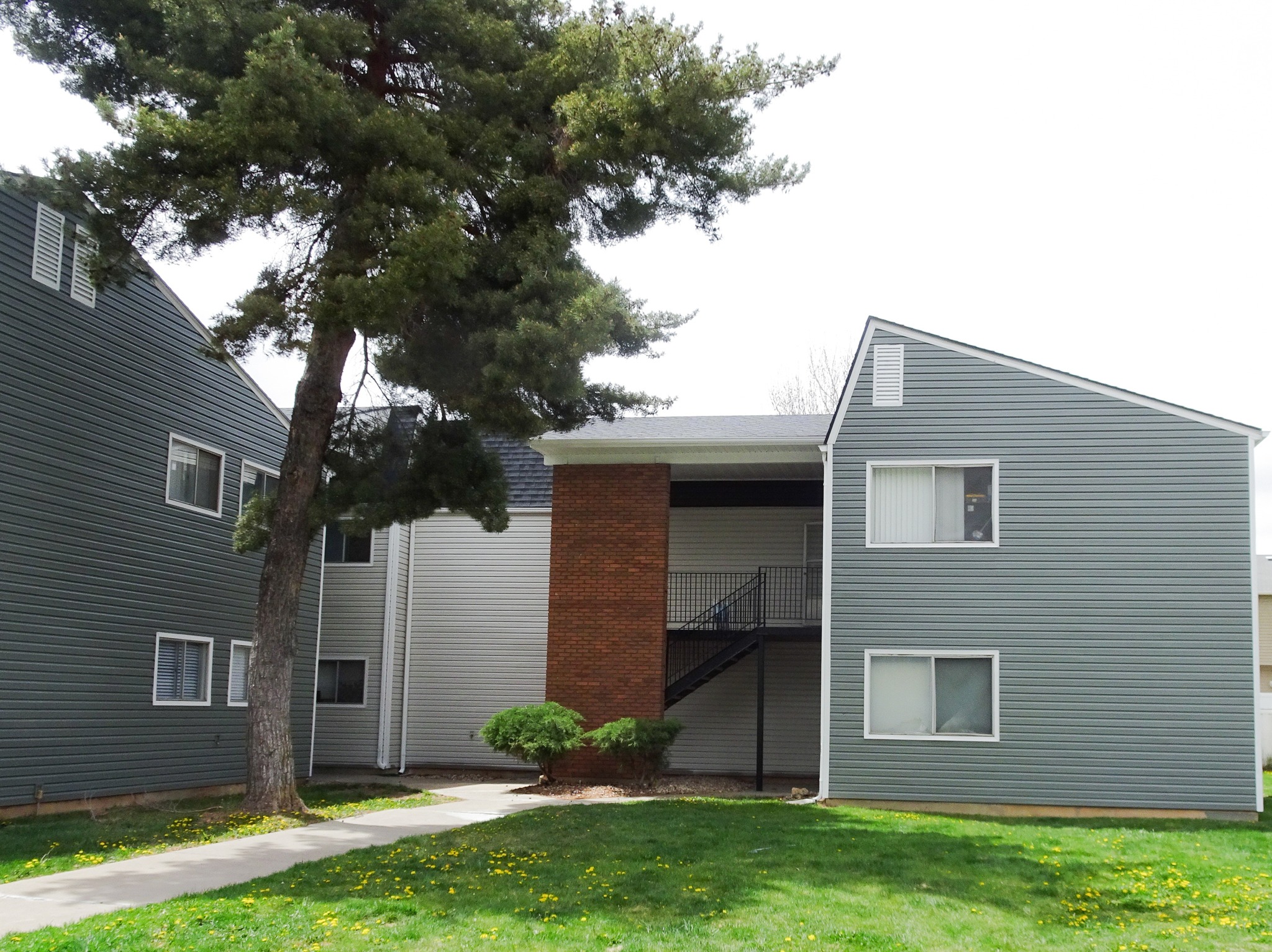 View Photos Ivy Apartment Homes