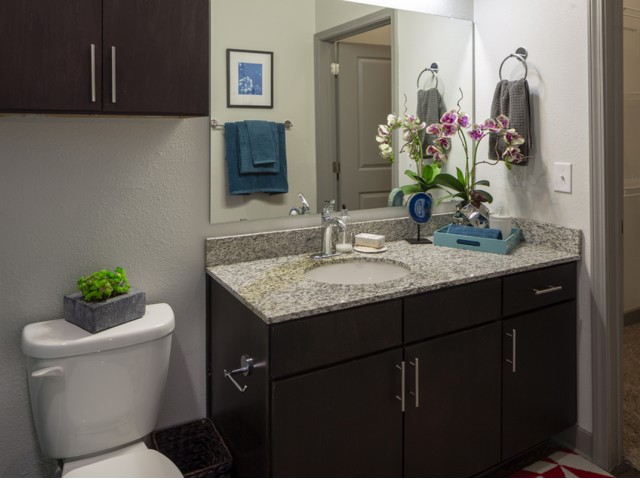 Apex - Furnished Image