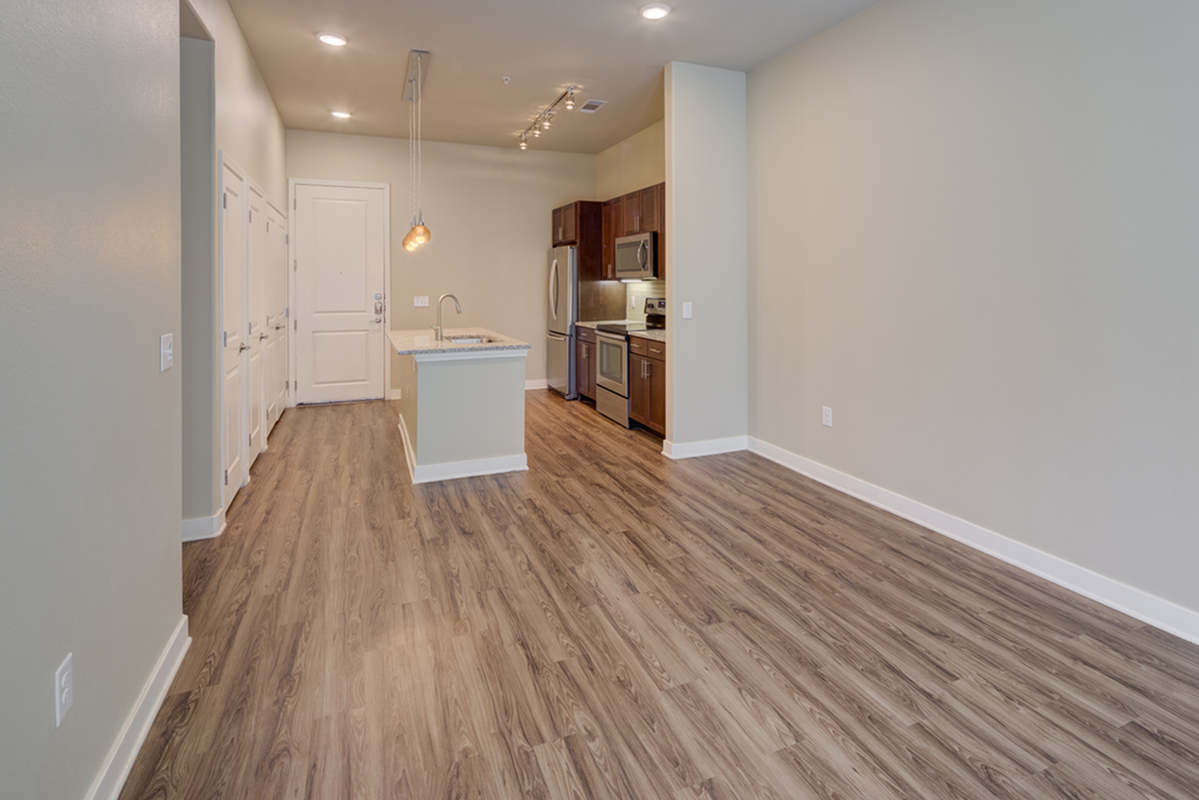 Doppler - Furnished Image