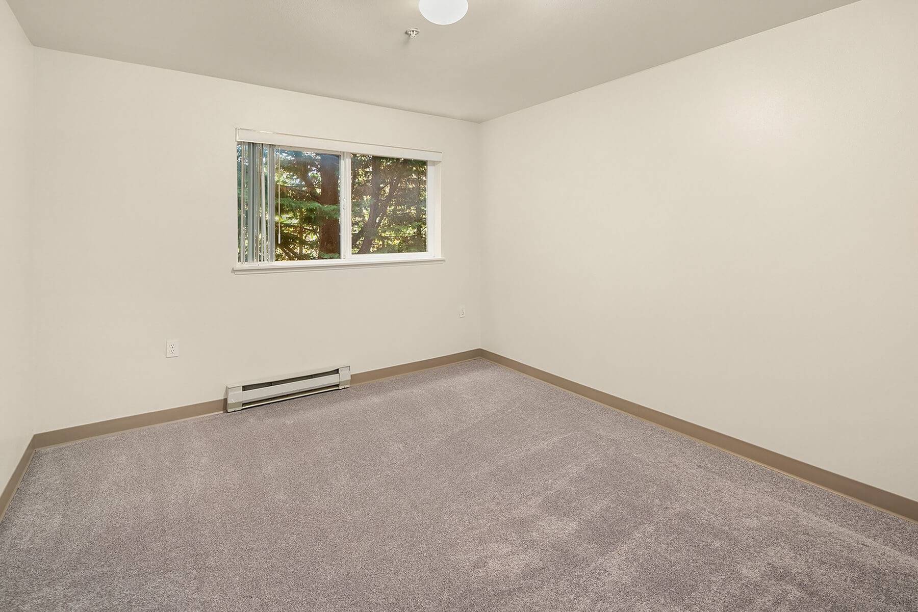 1x1 1 Bed Apartment Edgemont