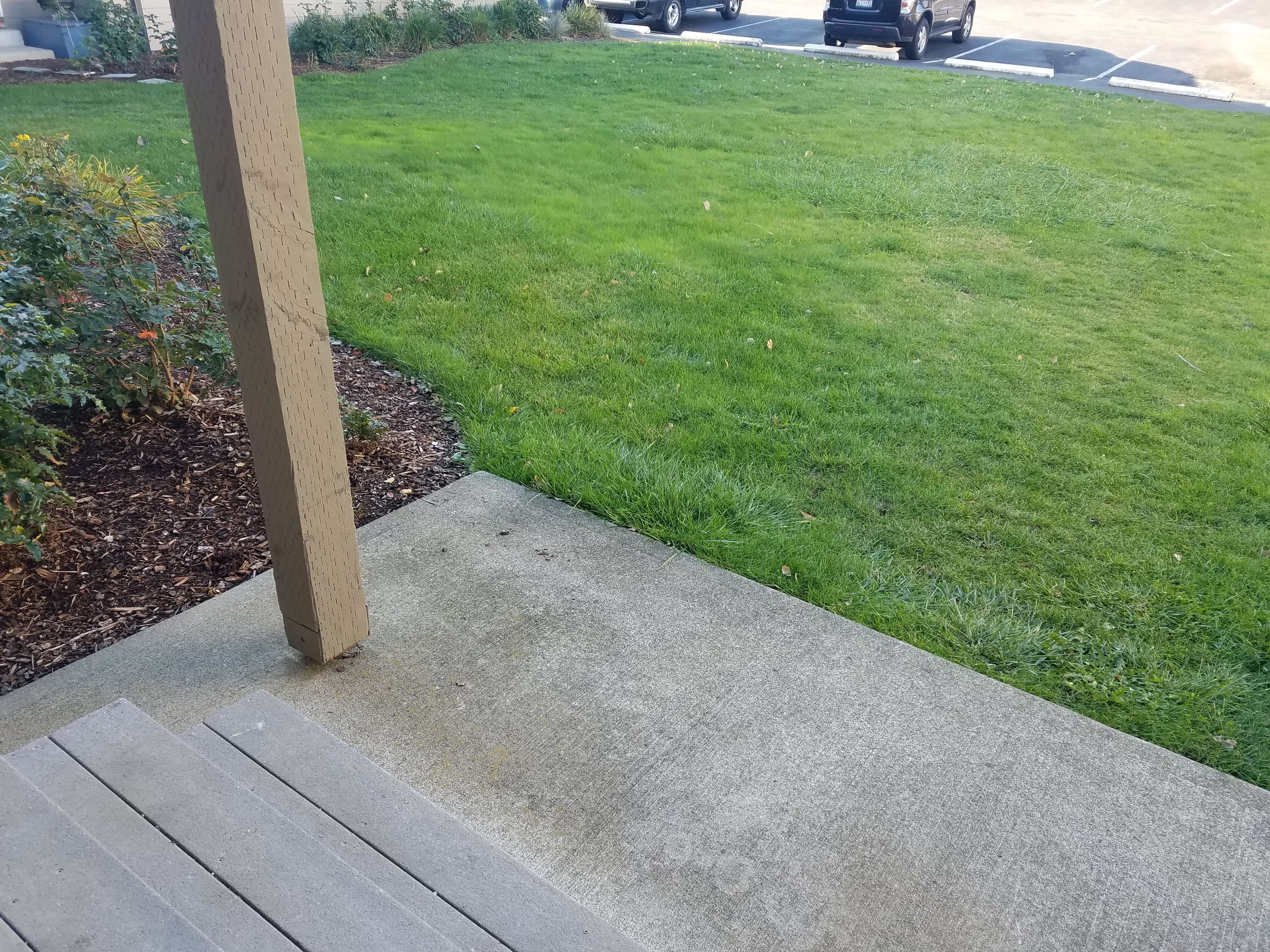 2Bed 1Bath 2 Bed Apartment Robin's Nest