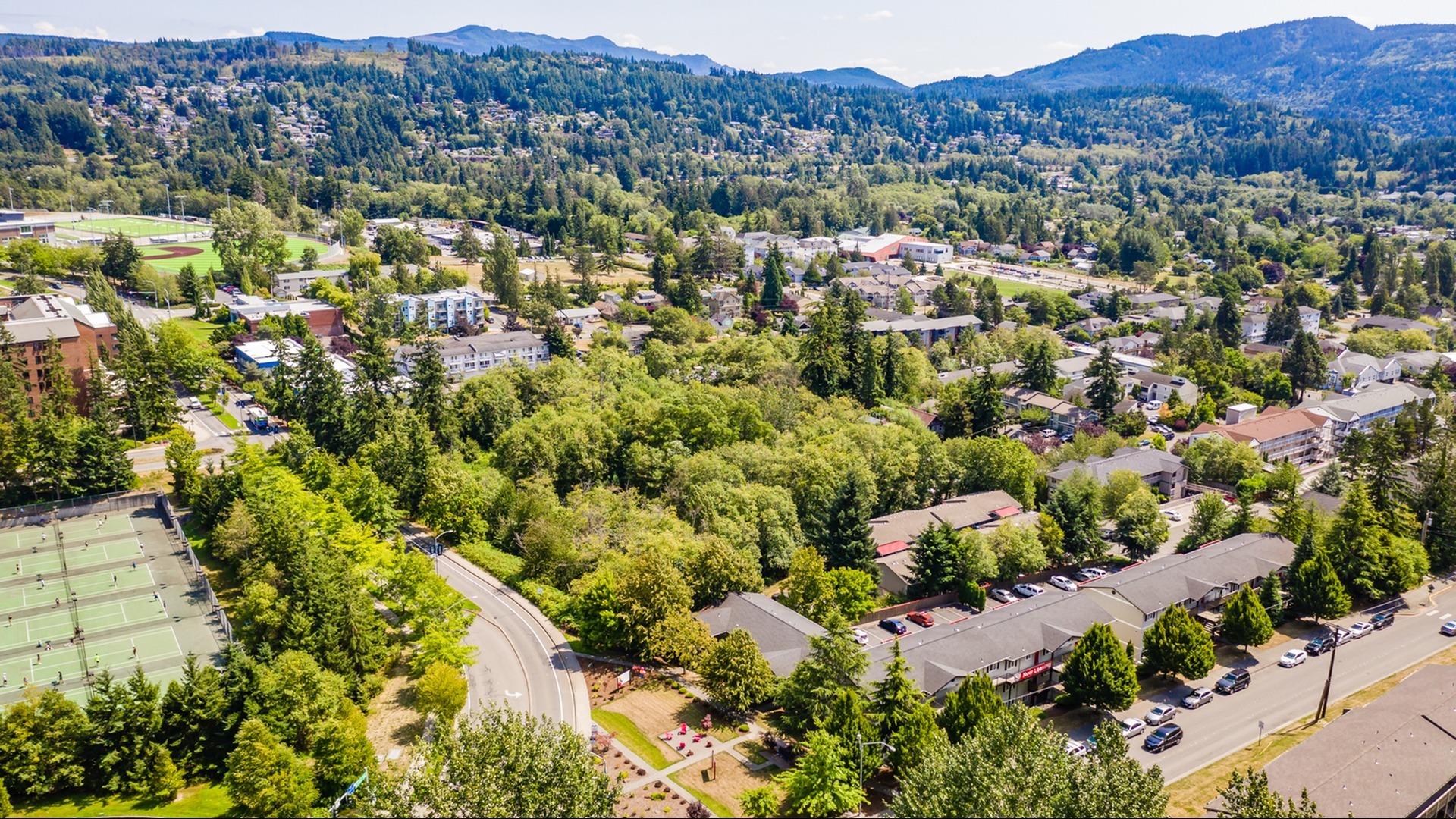 aerial view