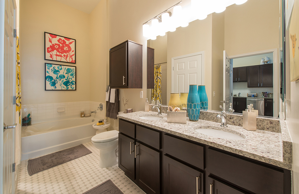 Studio 3 Bed Apartments Check Availability Spectrum Paramount