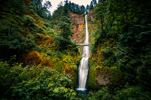 Three Hiking Trails In Portland-image