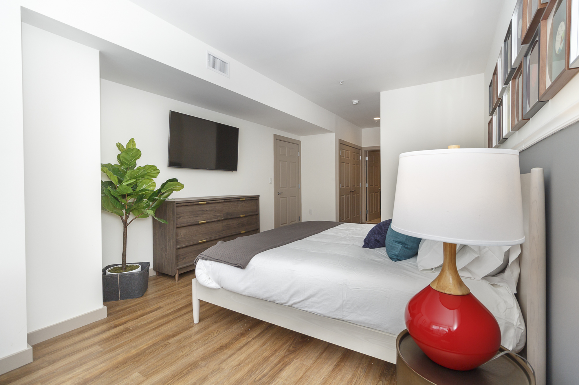 Luxury Apartments White Plains NY Photos Apex At 290 Elmsford