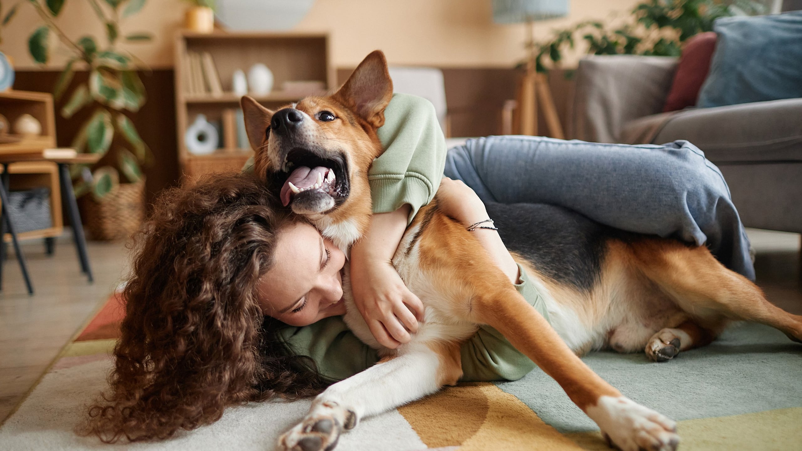 pet friendly apartments in north phoenix