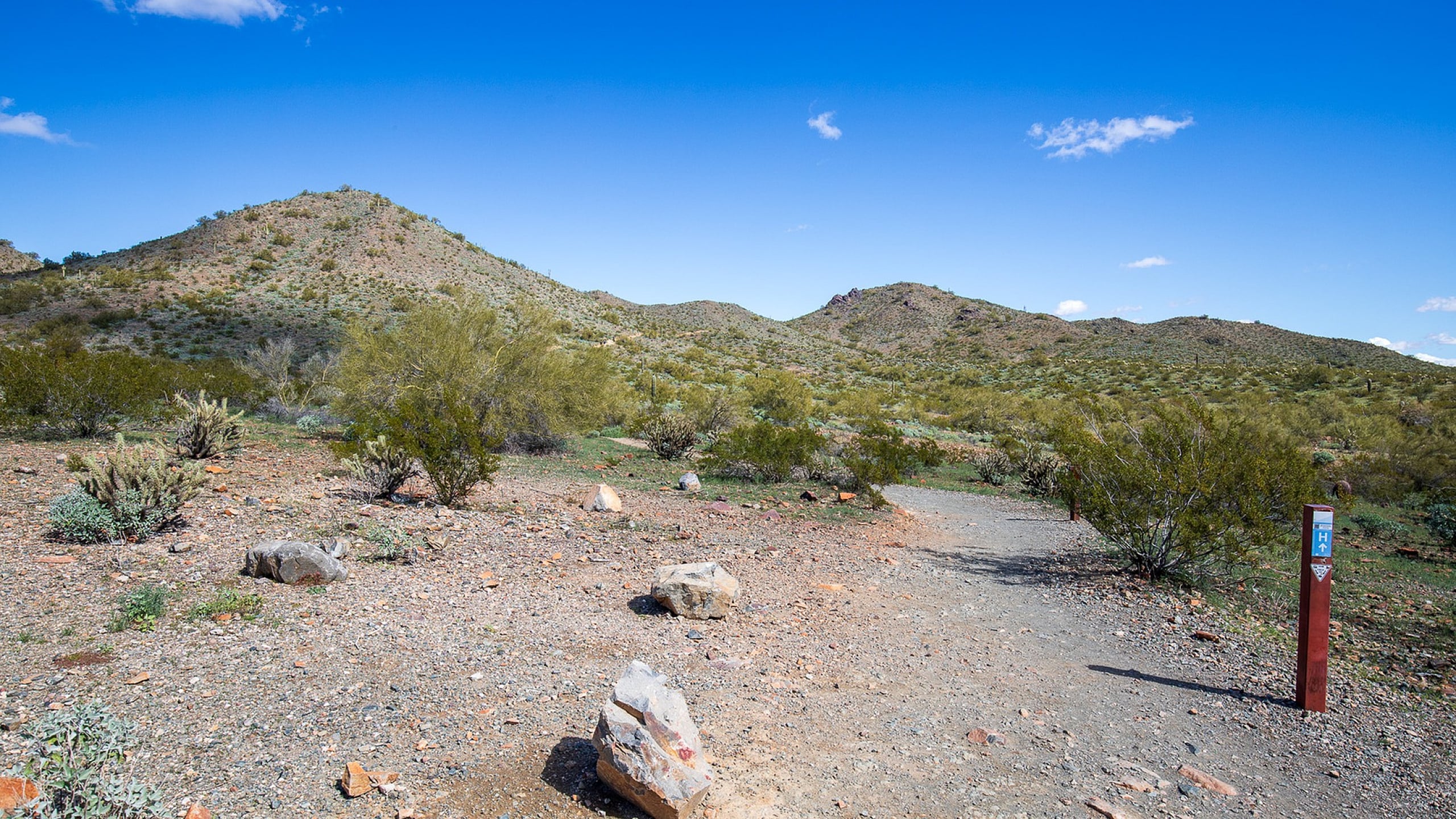 Sonoran Desert preserve hiking area