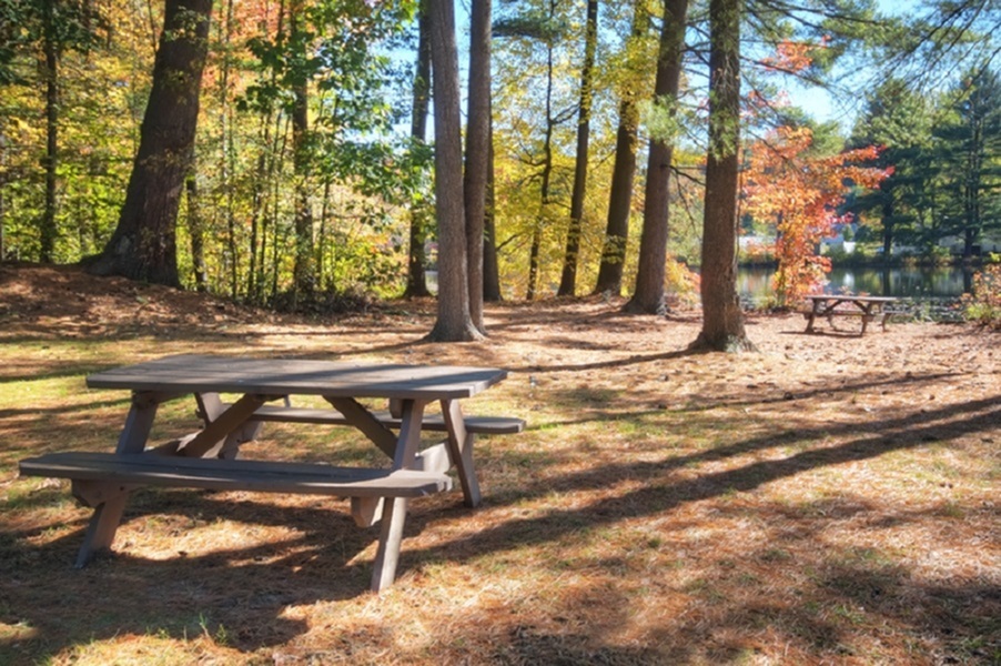 Photos & Tours Princeton at Mill Pond Apartments in Keene, NH