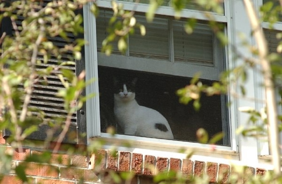 Floor Plans Princeton at Mill Pond 12 Bedroom Apartments Keene