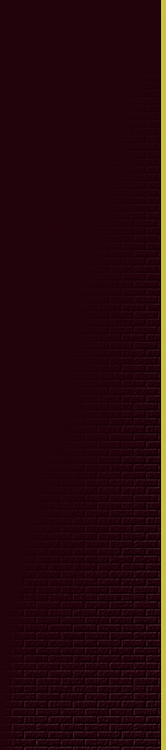 Elegant maroon wall with subtle brick pattern and a stylish gold accent stripe, perfect for enhancing a modern apartment ambiance.