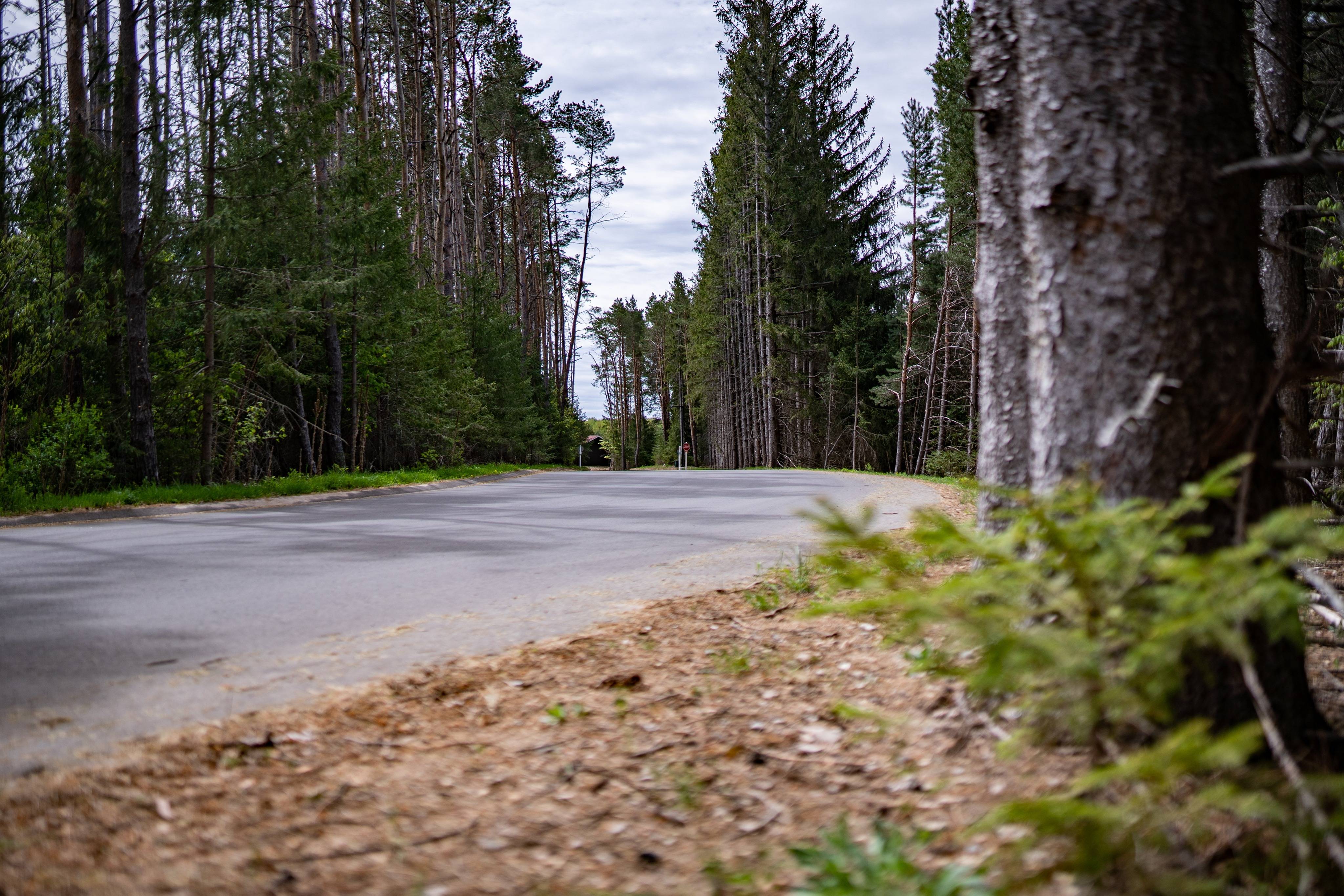 View Photos Pines45 Apartments