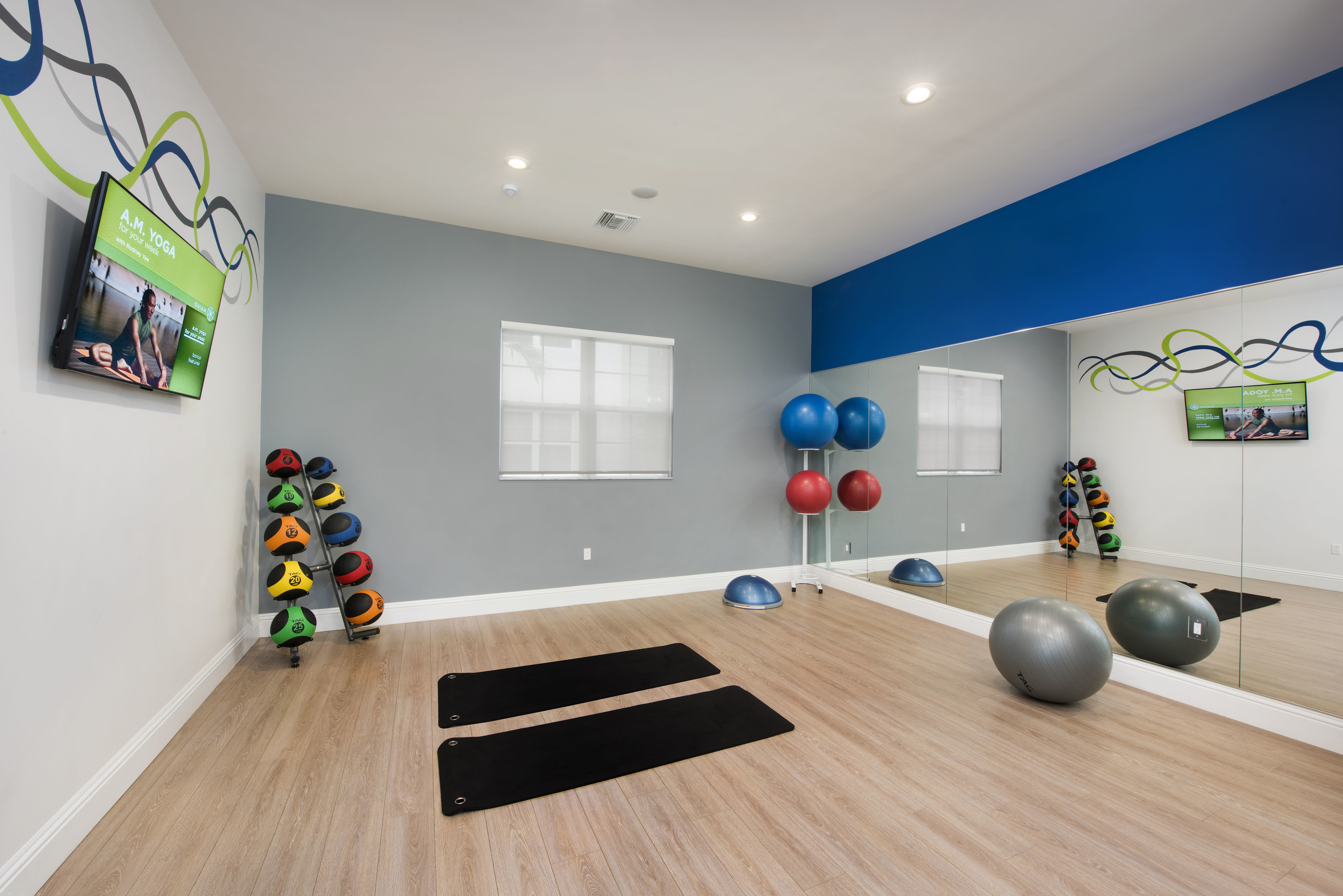 View of Yoga Studio, Showing Yoga Mats, Exercise Balls, TV, and Medicine Balls at Cottonwood West Palm Apartments